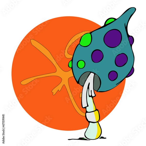 Obraz fly agaric mushroom