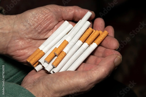 Obraz Cigarettes for smoking with a filter. Tobacco. Photo