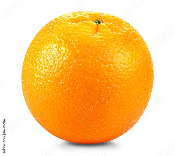 Obraz fresh orange