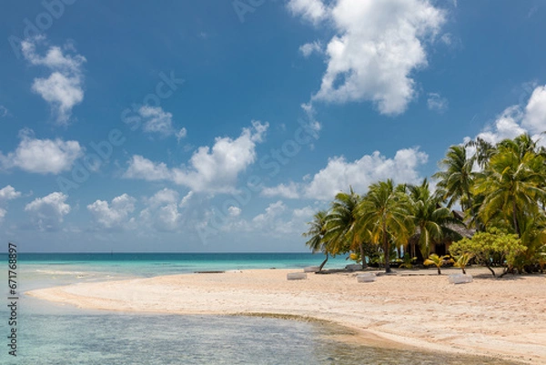 Fototapeta French Polynesia Tikehau atoll with sandy beach, palm trees and blue sky.