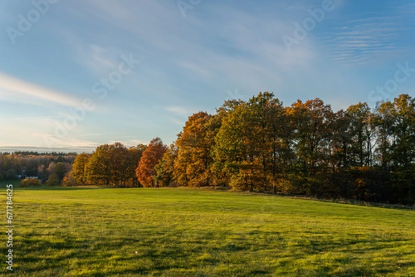Fototapeta Golf course during autumn. Beautiful nature, green grass and multicolored trees. Symbol of autumn. 
