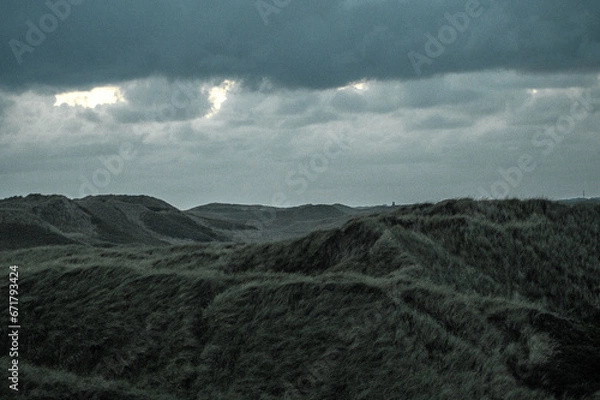 Obraz Danish Dune Landscape