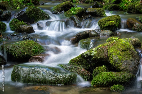 Obraz mountain stream