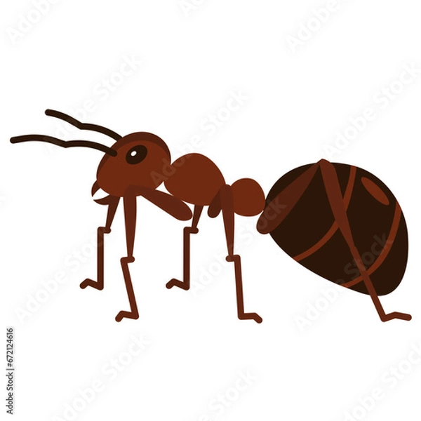 Obraz ant flat icon