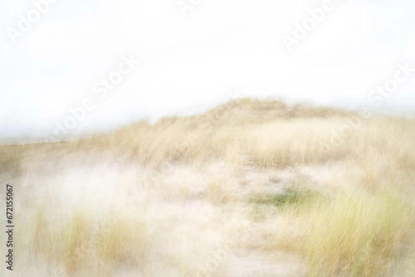 Fototapeta ICM (Intertional Camera Movement) photography on the dunes of Ameland - Wadden Islands - The Netherlands