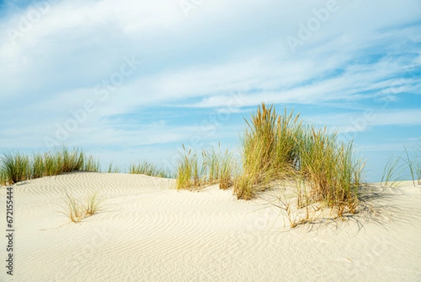 Fototapeta The dunes of Ameland - Wadden Islands