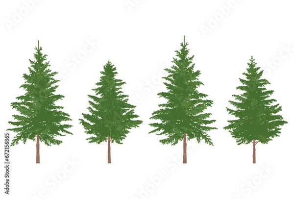 Fototapeta 横に並んだ針葉樹のイラスト