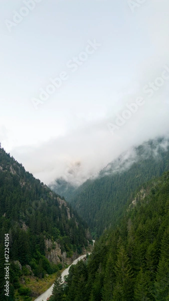 Fototapeta Mountain covered with forests. Aerial view forest. The mountain range is a natural protected area. A cloud has fallen over the forest