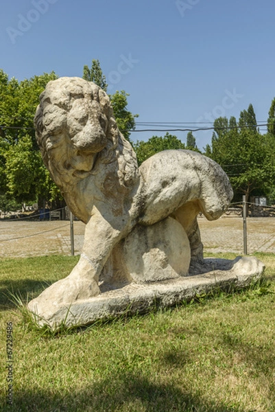 Fototapeta Aphoridisias