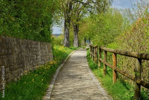 Fototapeta walking in the park