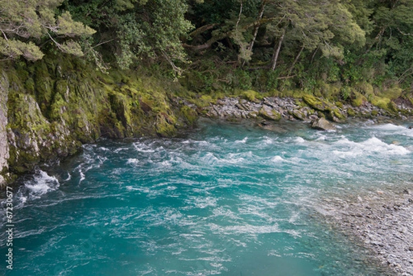 Obraz A New Zealand stream runs through a gorge