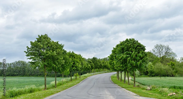 Obraz Typical road landscape in Walloon