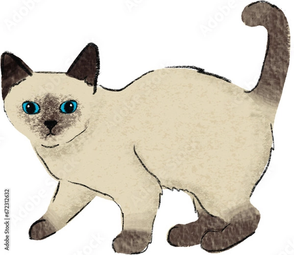 Obraz hand drawn cartoon of siamese cat, color pencil drawing of kitten a house hold pet