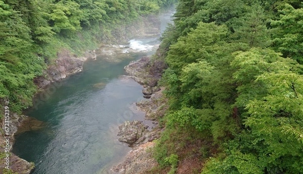 Fototapeta 鬼怒川