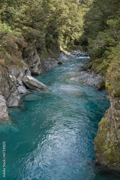 Obraz A New Zealand stream runs through a gorge