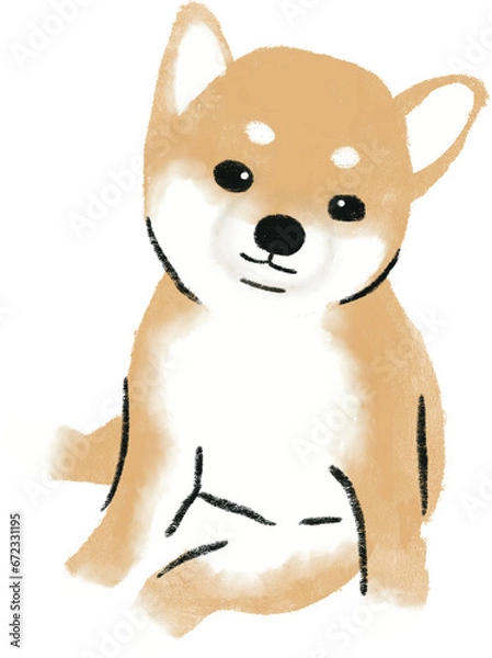 Obraz hand drawn cartoon illustration of dog pet in color pencil style.  drawing of household animal isolated. a shiba inu , a japanese dog