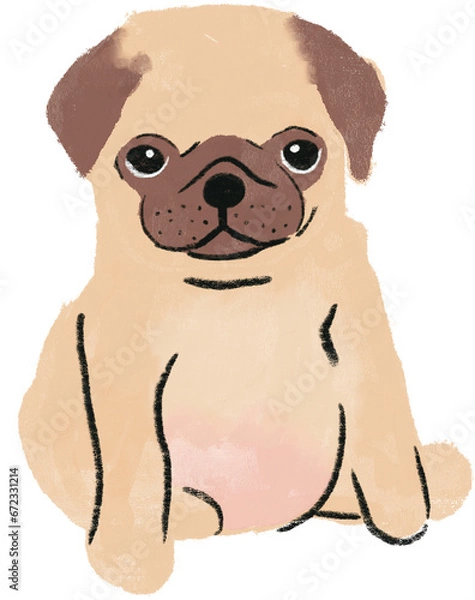 Obraz hand drawn cartoon illustration of dog pet in color pencil style.  drawing of household animal isolated. a pug