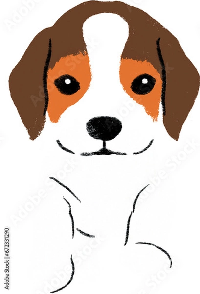 Obraz hand drawn cartoon illustration of dog pet in color pencil style.  drawing of household animal isolated. beagle