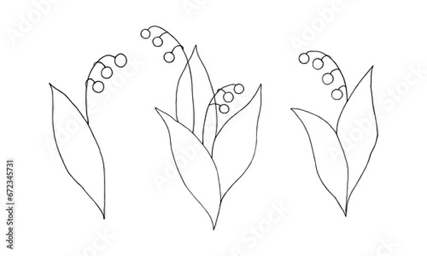 Obraz Set of elements forest herb  lily of the valley with berries. Black outline. Isolated objects on a white background.Vector illustration.