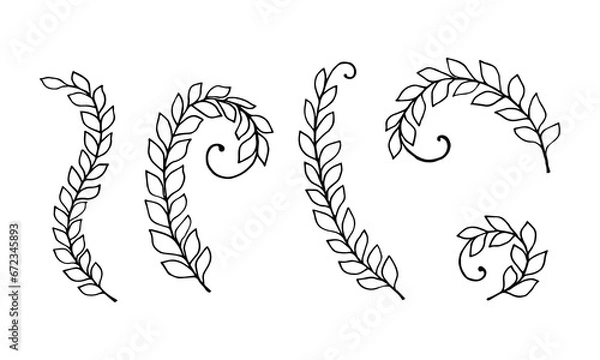 Obraz Set of elements forest herb  decorative creeping plant. Black outline. Isolated objects on a white background. Vector illustration.