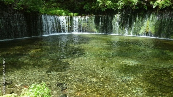 Fototapeta 白糸の滝