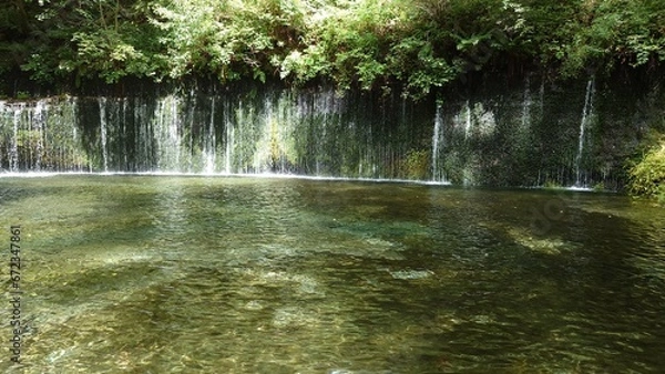 Fototapeta 白糸の滝