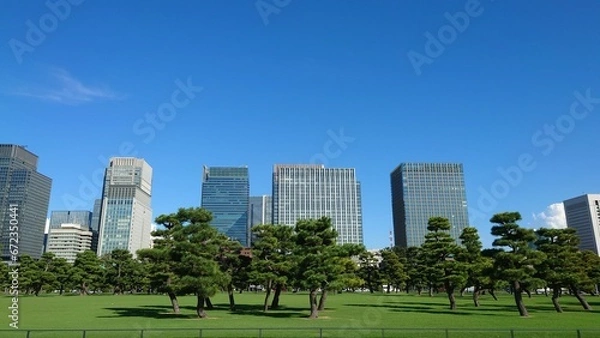 Fototapeta 皇居からの風景