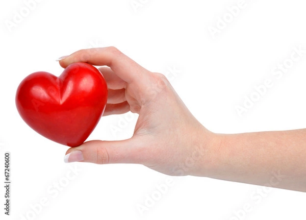 Fototapeta heart in hand isolated on white
