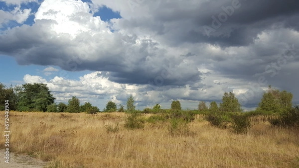 Obraz I would like to go back there 1