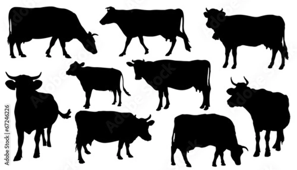 Obraz sylwetki krów