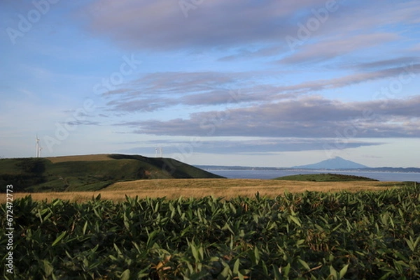 Obraz 宗谷丘陵からの利尻