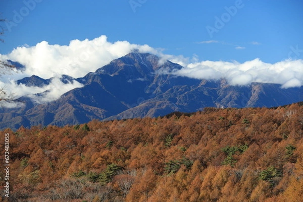 Obraz 美し森、展望台から眺めた山々と木々