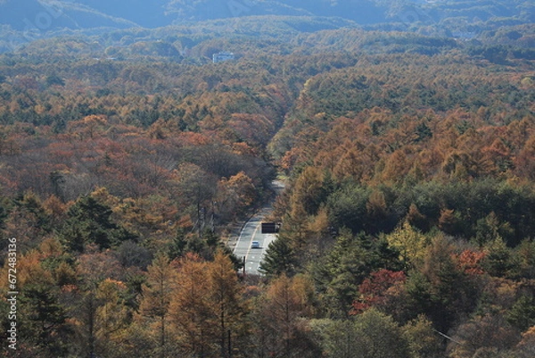 Obraz 美し森、展望台から眺めた紅葉から垣間見える道路