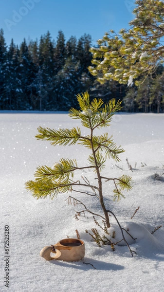 Obraz tree in the snow