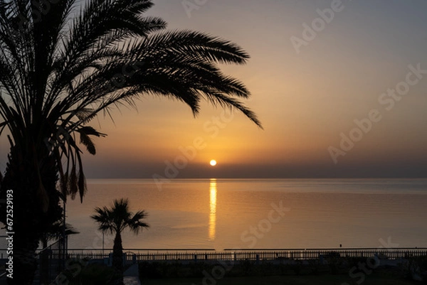 Fototapeta trees at sunset