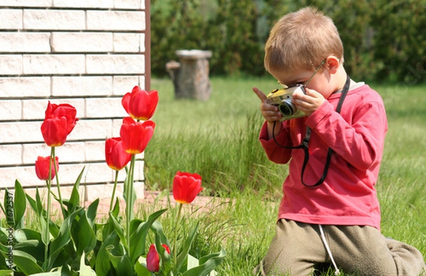 Obraz tulip photographer