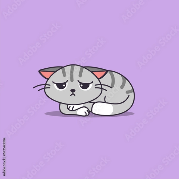 Fototapeta cute lethargic cat
