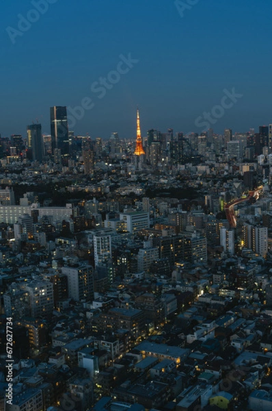 Obraz 東京の夜景