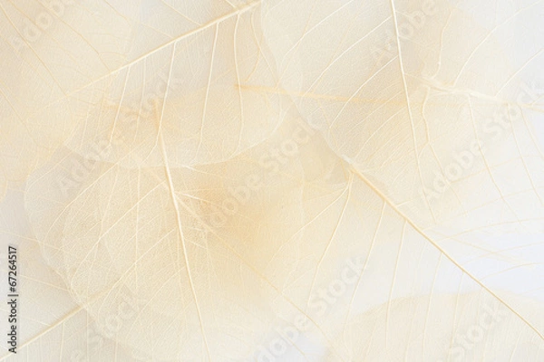 Fototapeta Białe mieszki