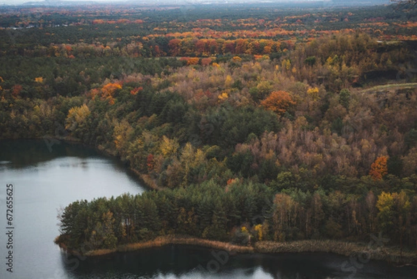 Fototapeta Aerial view of the colourful autumn forest at Grote Plas Lake in Hoge Kempen National Park, eastern Belgium. November in Flanders region