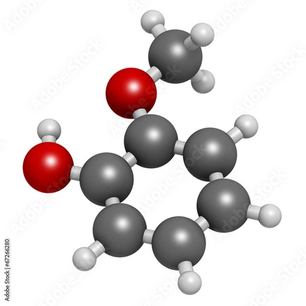Fototapeta Guaiacol aromatic molecule. Responsible for smoky taste.