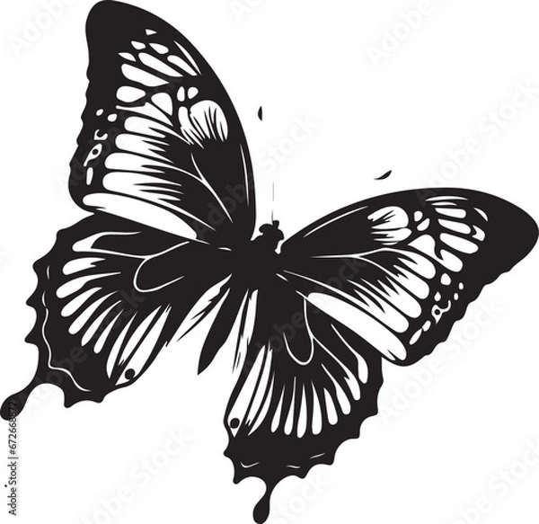 Obraz black butterfly silhouette icon, isolated on white background