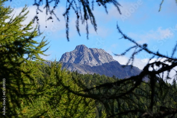 Fototapeta Fensterblick