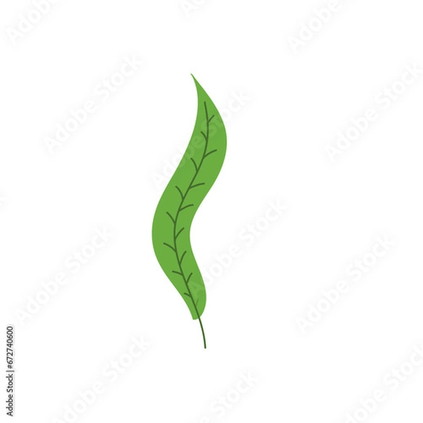 Obraz Abstract modern foliage collection