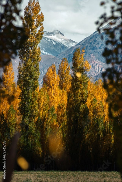 Obraz Mountainin autumn