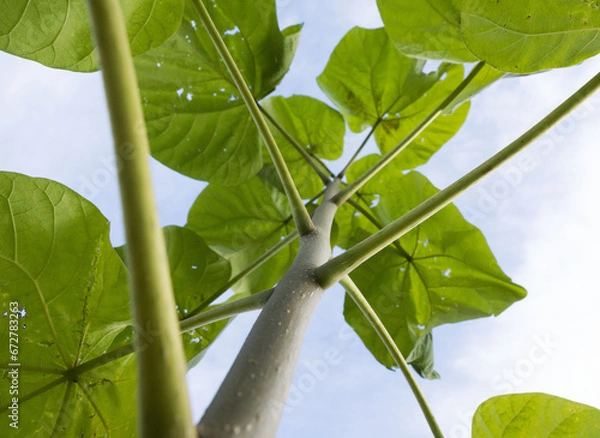 Fototapeta Perspektivwechsel