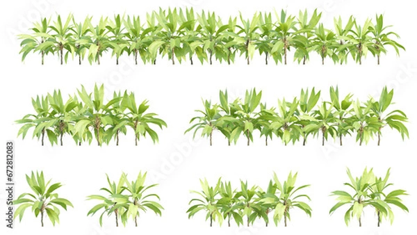 Obraz 3d illustration of garden plants isolated on transparent background. High resolution for digital composition