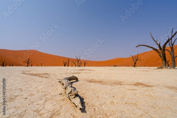 Fototapeta Sossusvlei