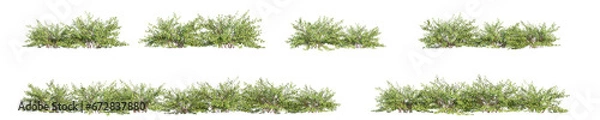 Obraz bush 3D rendering with transparent background, for illustration, digital composition, architecture visualization