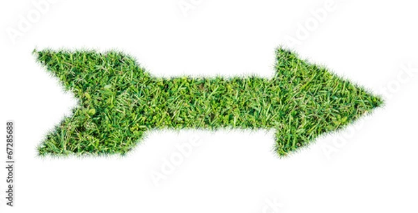 Obraz Green grass ecological arrow icon